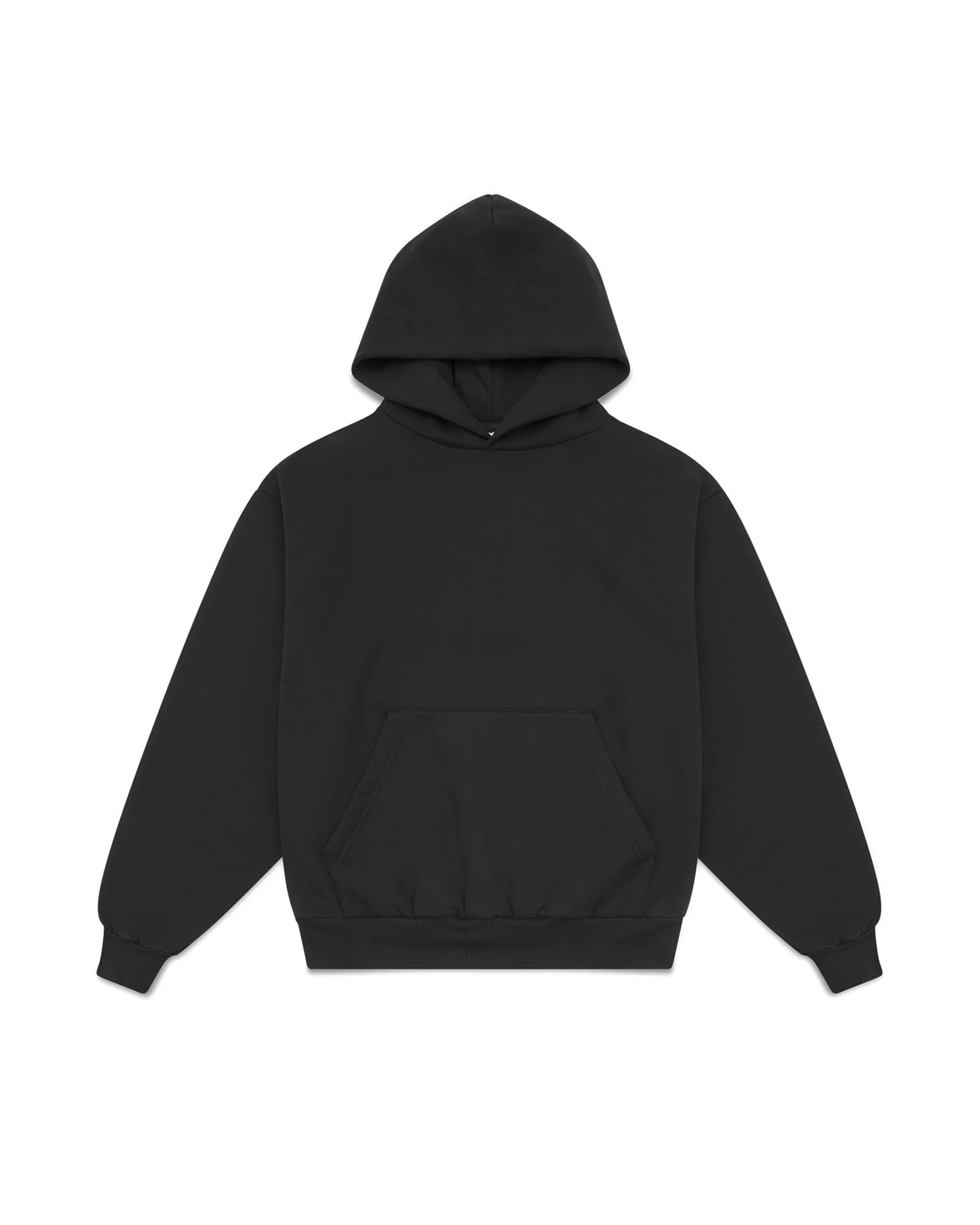 Pureblanks Heavy Hoodie