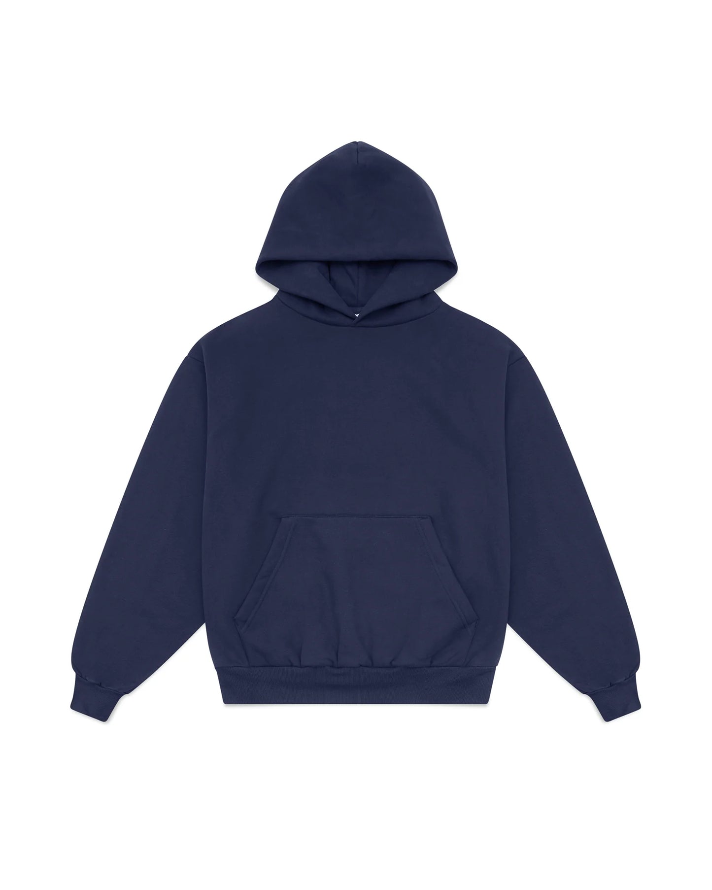 Pureblanks Heavy Hoodie